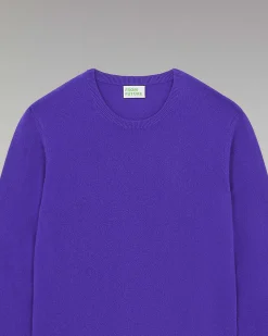 Pull Col Rond Basique*FROM FUTURE Clearance