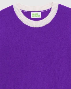Pull Col Rond Bicolore Leger*FROM FUTURE Sale