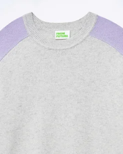 Pull Col Rond Manches Contrastees*FROM FUTURE Sale